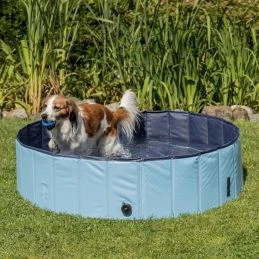 Trixie Piscina Para Perros Azul 3 Trixie Piscina Para Perros Azul - Imagen 3