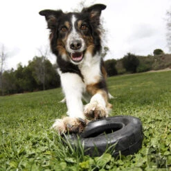 KONG Mordedor Rueda Extreme -Suministros Para Perros pneu 3 800x800 6255bd98e847d