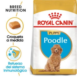 ROYAL CANIN Poodle Puppy Pienso Para Cachorro Caniche