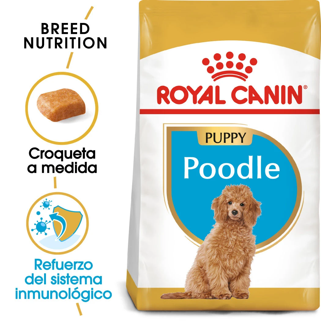 ROYAL CANIN Poodle Puppy Pienso Para Cachorro Caniche 1 ROYAL CANIN Poodle Puppy Pienso Para Cachorro Caniche