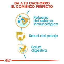 ROYAL CANIN Poodle Puppy Pienso Para Cachorro Caniche 11 ROYAL CANIN Poodle Puppy Pienso Para Cachorro Caniche -Suministros Para Perros poodle puppy 3