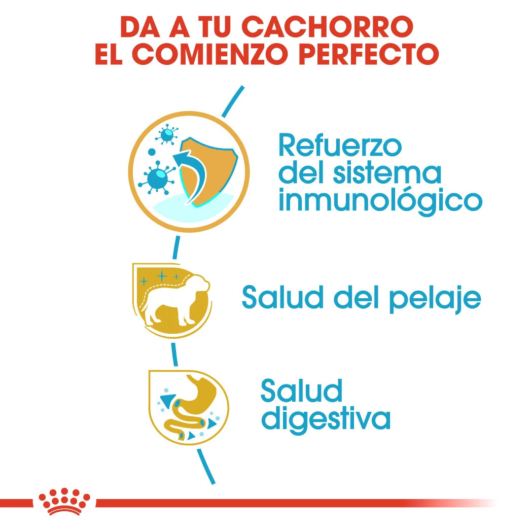 ROYAL CANIN Poodle Puppy Pienso Para Cachorro Caniche 3 ROYAL CANIN Poodle Puppy Pienso Para Cachorro Caniche - Imagen 3