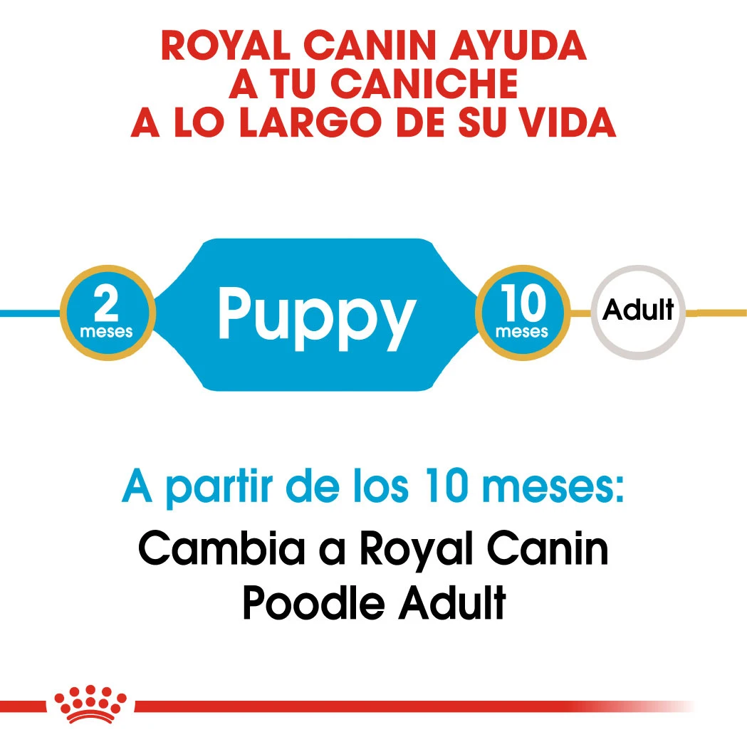 ROYAL CANIN Poodle Puppy Pienso Para Cachorro Caniche 4 ROYAL CANIN Poodle Puppy Pienso Para Cachorro Caniche - Imagen 4