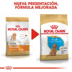 ROYAL CANIN Poodle Puppy Pienso Para Cachorro Caniche 15 ROYAL CANIN Poodle Puppy Pienso Para Cachorro Caniche -Suministros Para Perros poodle puppy 7