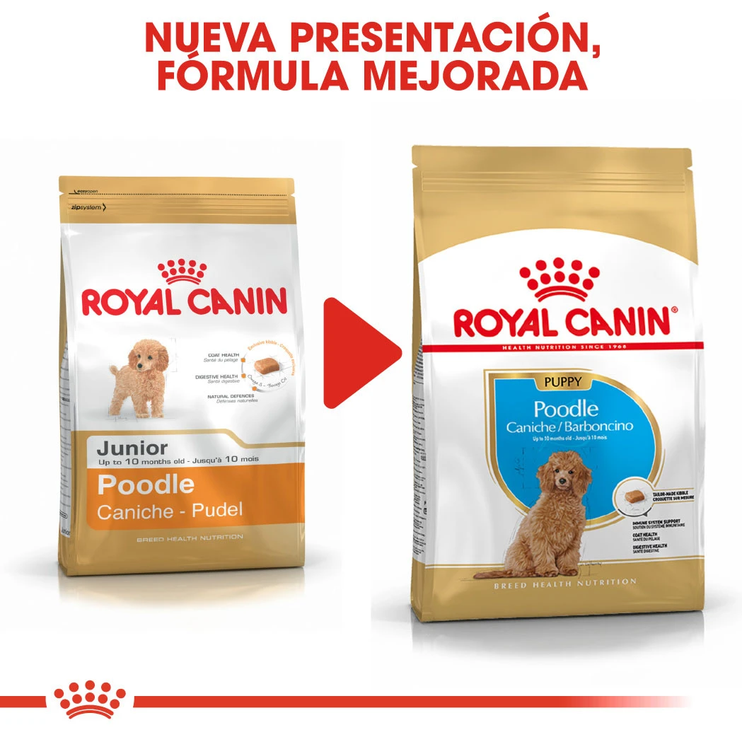 ROYAL CANIN Poodle Puppy Pienso Para Cachorro Caniche 7 ROYAL CANIN Poodle Puppy Pienso Para Cachorro Caniche - Imagen 7