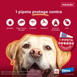 Advantix Pipetas Spot On Para Perro Hasta 4 Kg -Suministros Para Perros proteccion pipeta advantix 63ea6b5b49b29