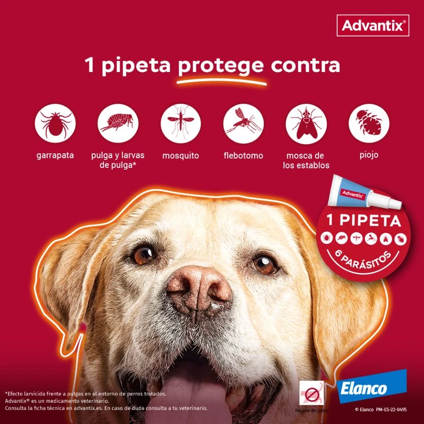 Advantix Pipetas Spot On Para Perro De Más De 25 Kg 3 Advantix Pipetas Spot On Para Perro De Más De 25 Kg - Imagen 3