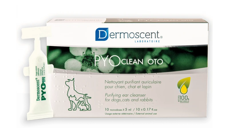 Dermoscent Pyoclean Oto Limpiador 1 Dermoscent Pyoclean Oto Limpiador