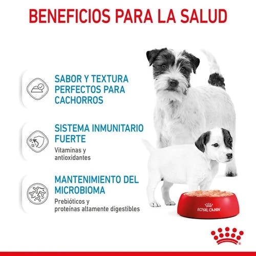 ROYAL CANIN Pack 12 Starter Mousse Babydog 5 ROYAL CANIN Pack 12 Starter Mousse Babydog - Imagen 5