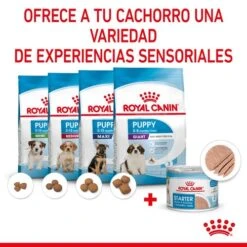 ROYAL CANIN Pack 12 Starter Mousse Babydog 13 ROYAL CANIN Pack 12 Starter Mousse Babydog -Suministros Para Perros rc spt wet startermousse can cv 4 es es 624ad6ef7e758