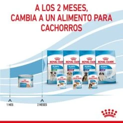 ROYAL CANIN Pack 12 Starter Mousse Babydog 9 ROYAL CANIN Pack 12 Starter Mousse Babydog -Suministros Para Perros rc spt wet startermousse can cv 8 es es 624ad6e8e0713