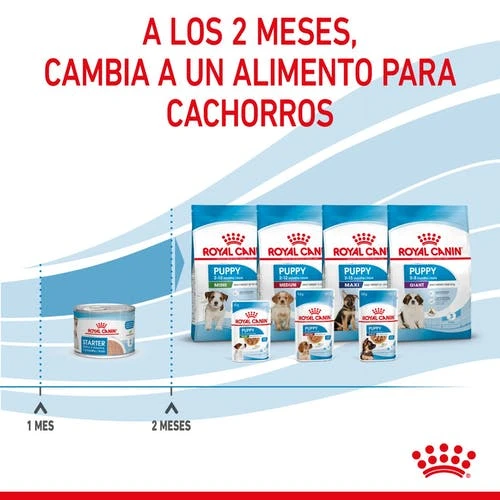 ROYAL CANIN Pack 12 Starter Mousse Babydog 3 ROYAL CANIN Pack 12 Starter Mousse Babydog - Imagen 3