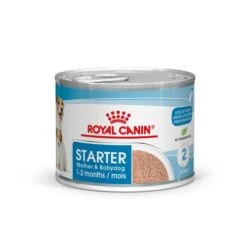 ROYAL CANIN Pack 12 Starter Mousse Babydog