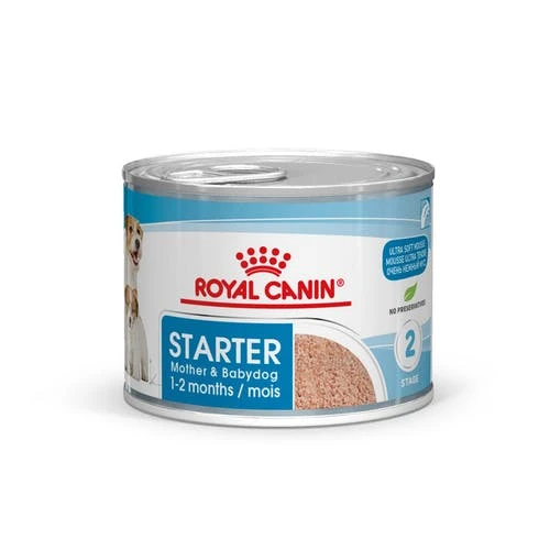 ROYAL CANIN Pack 12 Starter Mousse Babydog 1 ROYAL CANIN Pack 12 Starter Mousse Babydog