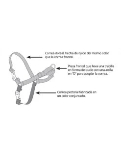 Nayeco Easy Walk Ronzal Anti-tirones Para Perros (Negro) 5 Nayeco Easy Walk Ronzal Anti-tirones Para Perros (Negro) -Suministros Para Perros ronzal easy walk 2 620242e818af2