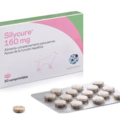 Silycure 160Mg