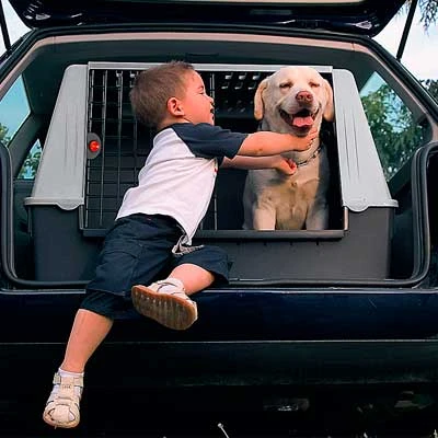 FERPLAST Transportín Atlas Car Gris 2 FERPLAST Transportín Atlas Car Gris - Imagen 2