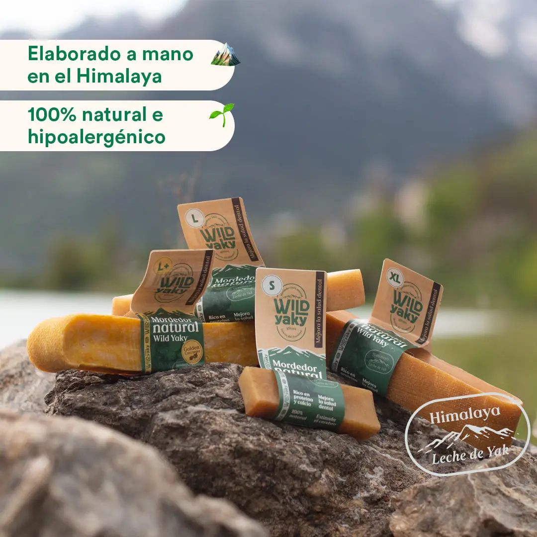 Mordedor Natural Leche De Yak Del Himalaya Con Cúrcuma Para Perros 3 Mordedor Natural Leche De Yak Del Himalaya Con Cúrcuma Para Perros - Imagen 3