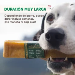 Mordedor Natural Leche De Yak Del Himalaya Con Cúrcuma Para Perros 12 Mordedor Natural Leche De Yak Del Himalaya Con Cúrcuma Para Perros -Suministros Para Perros wild yaky mordedor barrita leche yak himalaya curcuma 4 min 63733b737021d